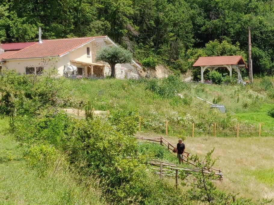 Chambre Double En Pleine Nature "La Clairiere De L'Ange" Peyrins Exterior foto